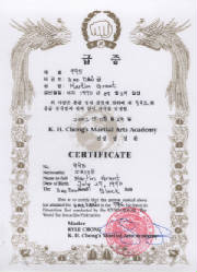 certificate - taekwondo third degree
